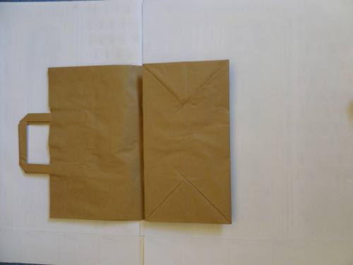 Sac cabas kraft 32x38 cm (250 pièces)